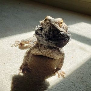 Meet your Posher, Julie